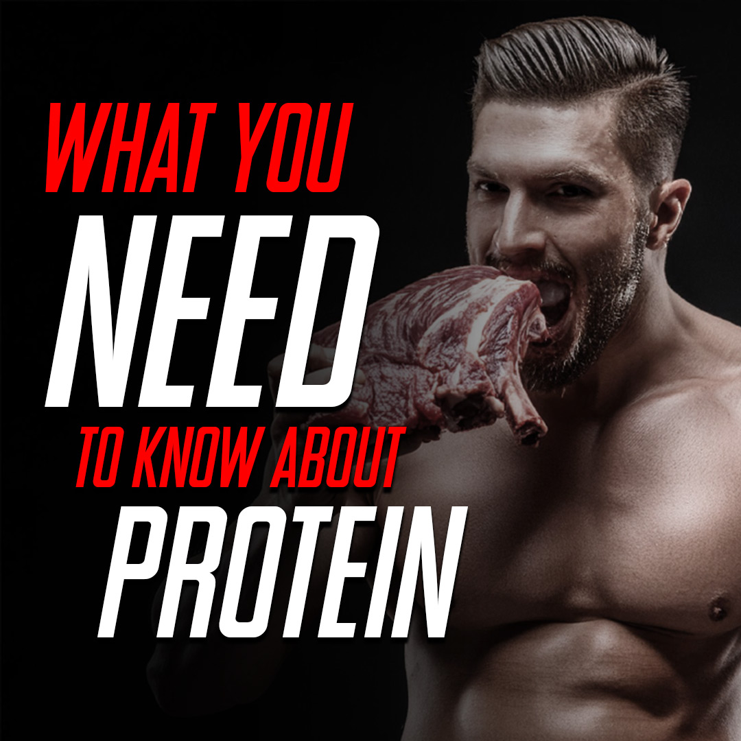 What You Need To Know About Protein